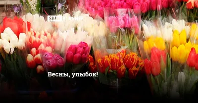 На носу 8 марта! А чего хотят все женщины? Быть красивыми! Когда? Всегда❤️  Решено! Радовать вас подарками красоты! 🎁 Условия… | Instagram