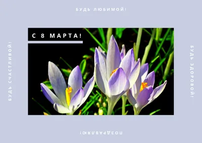Поздравления с 8 Марта для коллег: новые красивые открытки с Международным  женским днем - sib.fm
