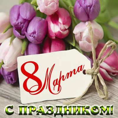 Скачать обои с 8 марта!!! тюльпаны на 8 марта, международный женский день,  with march 8! tulips on march 8, international women's day разрешение  1600x900 #76143