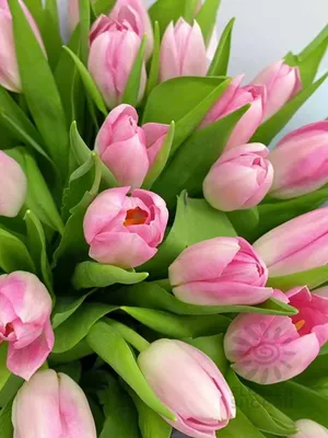 купить Открытку С 8 марта (тюльпаны и крокусы) 12х18,5 см - Gobelenka.ru