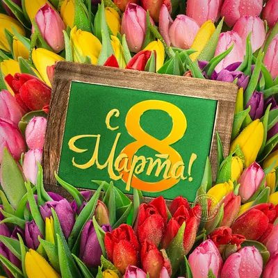 Красивая Открыта-фото на 8 марта с цветами - Скачайте на Davno.ru