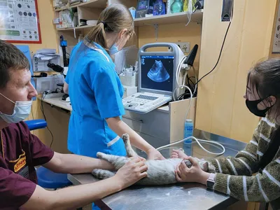 Пулевые и мино-осколочные ранения: врачи спасают детей из Мариуполя и  Запорожской области, — ФОТО | Первый запорожский