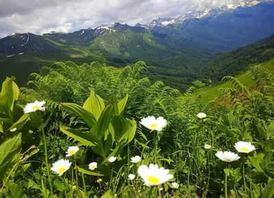 Фотоотчет Абхазия весна