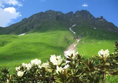 Озеро Рица Абхазия весной (60 фото) - 60 фото