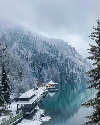 Абхазия зимой фото