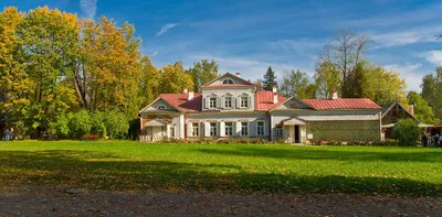 Галерея - Вид категории: Абрамцевский дуб прошёл обследование - Фото: Абрамцевский  дуб прошёл обследование_2 - Газета \"Вперед\", Новости Сергиева Посада