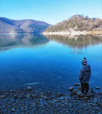 Зимой 2019 года в... - Абрау-Дюрсо - Ландшафты и сообщества - Плантариум