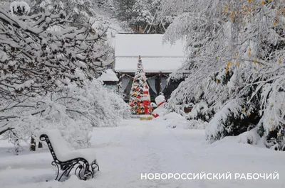 Каток в Абрау-Дюрсо: отзыв реального посетителя - Анапа. Отдых 2023