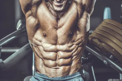 Complete Guide to Abs Anatomy and Exercises for Abs and Core