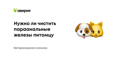 Воспаление параанальных желёз у собак | Наша история - YouTube
