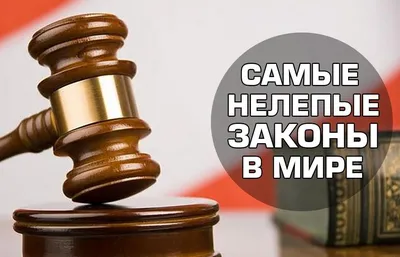 Поставки для армии: Резников назвал абсурдными выводы ГАСУ о запрете  получать прибыль
