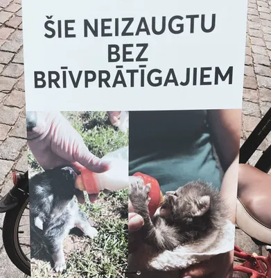 Абсурдные комиксы | Пикабу