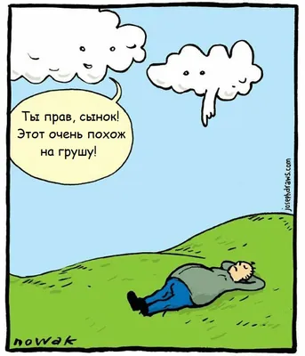 Запреты на смерть и поцелуи с жабой: абсурдные законы в разных странах —  05.09.2023 — Статьи на РЕН ТВ