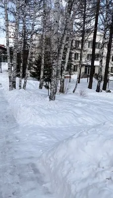 Горнолыжный курорт Абзаково | Путешествия по России и миру | Дзен
