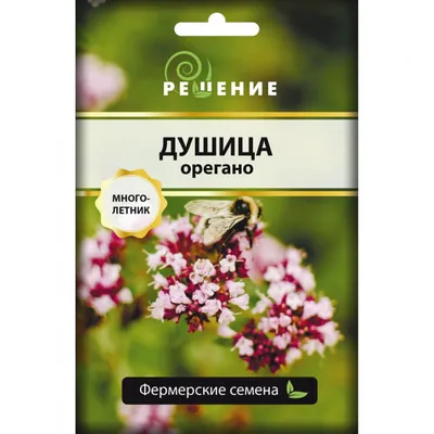 Редкие растения Оренбургской области#бубенчик лилиелистный#аденофора -  YouTube