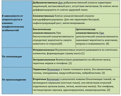 Рыжий - Фонд помощи бездомным животным \"РЭЙ\"