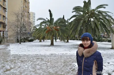 Отдых в Адлере — как добраться и где жить, какие пляжи и цены