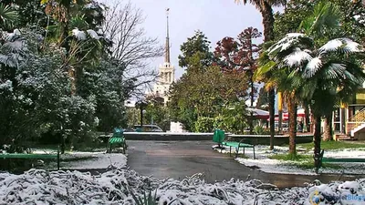https://dzen.ru/a/X709HQtK-AFJIShT