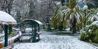 Что делать в Сочи зимой - Makemytravel