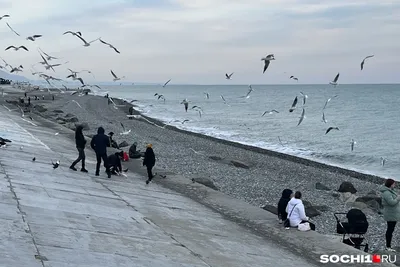 Сочи Парк Отель зимой - YouTube