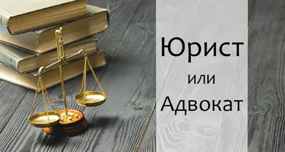 Адвокат бизнеса: 20 юридических консультаций понятным языком — купить книгу  Дмитрия Грица на сайте alpinabook.ru