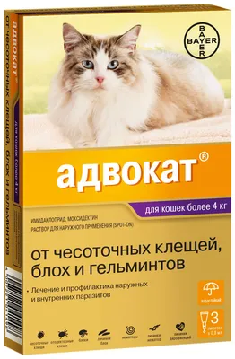 Книга \"Адвокат беременных. Ваш будущий малыш под защитой\" - Магазин -  Комсомольская правда