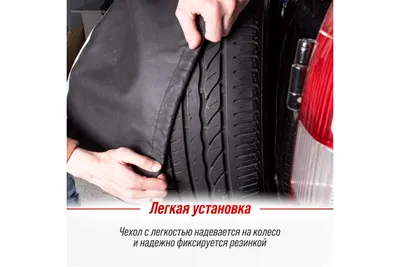 Аэрография на чехле запасного колеса в Москве: 70 автомаляров со средним  рейтингом 4.4 с отзывами и ценами на Яндекс Услугах.