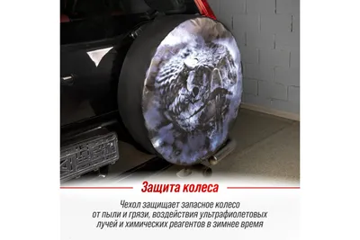 Цены на аэрографию – Студия аэрографии MC-Motors