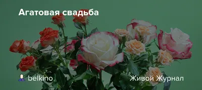 Геометрия узора: Агатовая свадьба)))