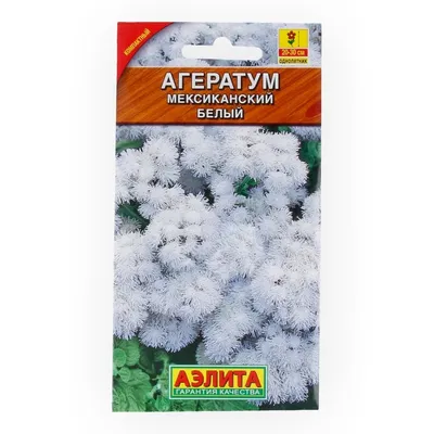Пленительные цветы Агератума: запечатлейте их красоту на вашем веб-сайте