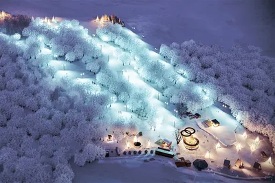 Снег на Ай-Петри, 1 февраля 2009, фотоотчет | Юрий Круглов