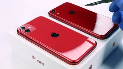 Купить Apple iPhone 11 128Gb Red (Красный) по низкой цене в СПб