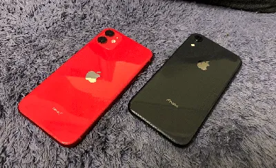 Red iPhone 11 Accessories: Case, Lightning Cable, Wireless Charger, Band,  Speaker, Much More | Redmond Pie