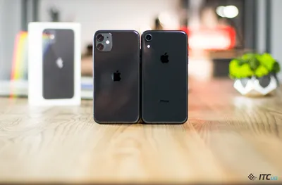 iPhone 11 - привычный дизайн и новые камеры - ITC.ua