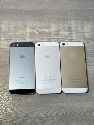 The iPhone 5s Review