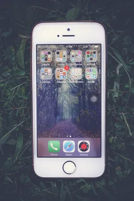 iPhone 5S Camera Review | ePHOTOzine