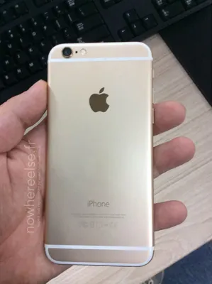 Корпус для iPhone 6 Gold (золотой) купить в Минске