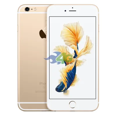 Купить iPhone 6s 32Gb Gold CDMA по лучшей цене в Киеве и Украине /  4G.kiev.ua