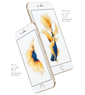 iPhone 6S Rose Gold: New Apple phone to come in pink colour | The  Independent | The Independent