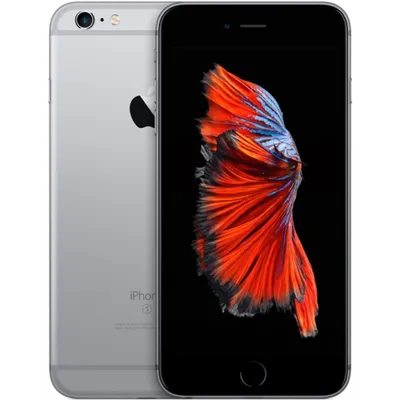 Apple iPhone 6s 32 ГБ Серый космос MN0W2 б/у купить в Минске с доставкой по  Беларуси, выгодные цены на Смартфоны в интернет магазине б/у техники Breezy