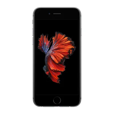 Apple iPhone 6s A1688 4G Phone (64GB, Space Gray)