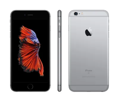 Apple iPhone 6s Space Gray 3D Model $49 - .3ds .c4d .fbx .obj .max - Free3D