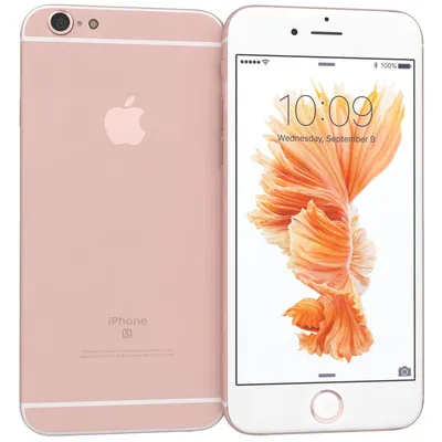 Купить Apple iPhone 6s 32 ГБ Золотой в СПб самые низкие цены, интернет  магазин по продаже Apple iPhone 6s 32 ГБ Золотой в Санкт-Петербурге