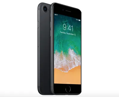 Купить Apple iPhone 7 256Gb Jet Black (Чёрный оникс) по низкой цене в СПб