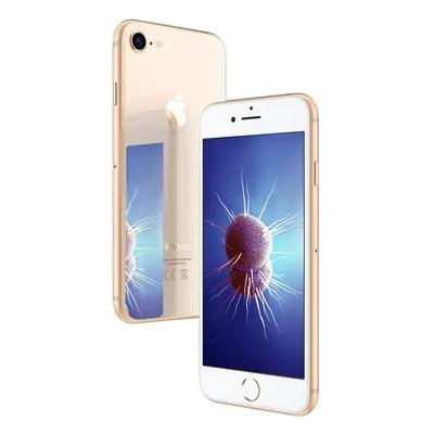 Купить Чехол с защитой камеры для iPhone 7 / 8 золотистый в Softmag.com.ua  | Киев Украина