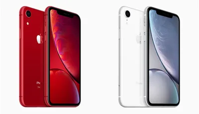 Коробка iPhone Xr White (Белый), Муляж, Сувенирная продукция - купить  Сувенир по выгодной цене в интернет-магазине OZON (941549198)