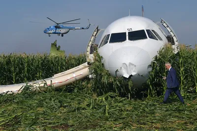 Парк «Уральских авиалиний» пополнился новым Airbus A321: фоторепортаж из  кабины пилота и салона (ФОТО) / 19 мая 2017 | Екатеринбург, Новости дня  19.05.17 | © РИА Новый День