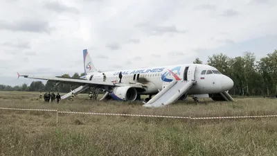 На солнце, вдоль рядов кукурузы\". Как пилоты спасли пассажиров самолета A321  – Москва 24, 15.08.2019