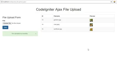 WordPress File Upload with AJAX - Igor Benić