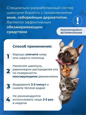 Гибрид лисы и собаки: в Бразилии нашли уникальное животное, неизвестное  науке - фото